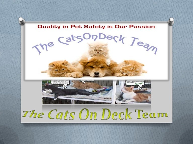 catsondeck