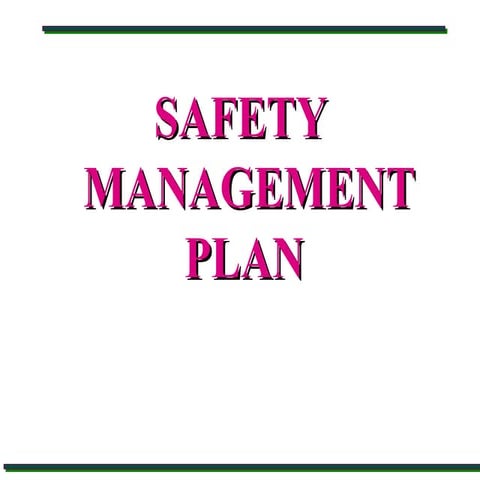 Safety management plan by DGMS