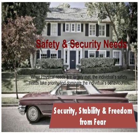 Safety needs | PDF