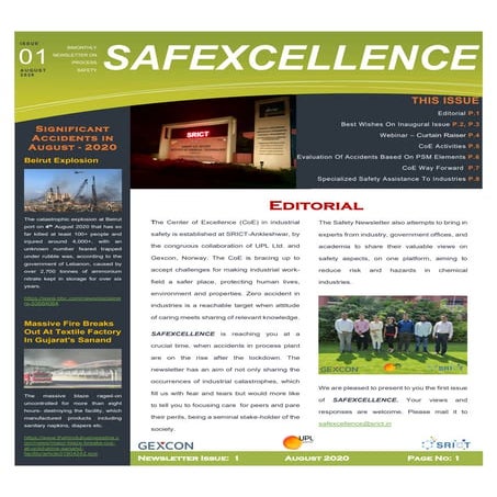 SAFEXCELLENCE | PDF