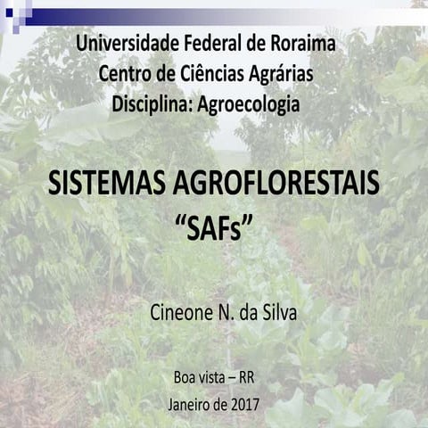 Sistemas Agroflorestais | PPTX