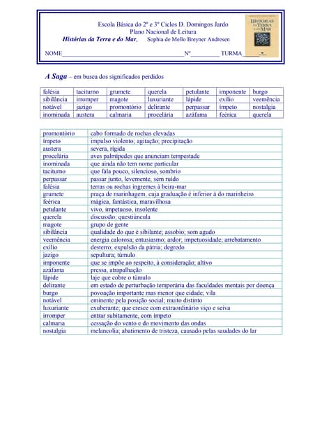 Saga  vocabulário -soluções