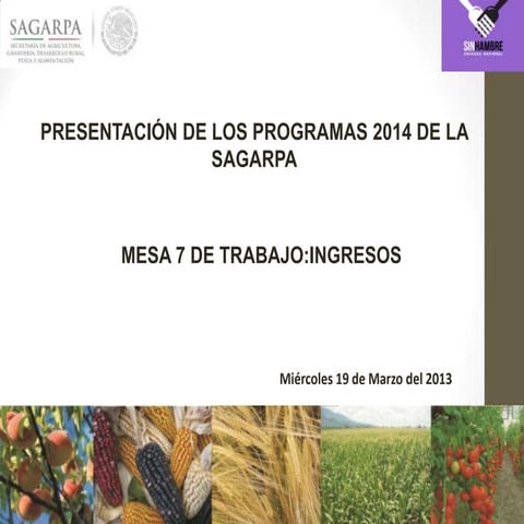 COMPONENTES Y PROGRAMAS SAGARPA 2014