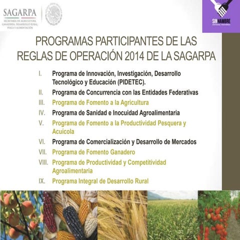 PROGRAMAS SAGARPA 2014