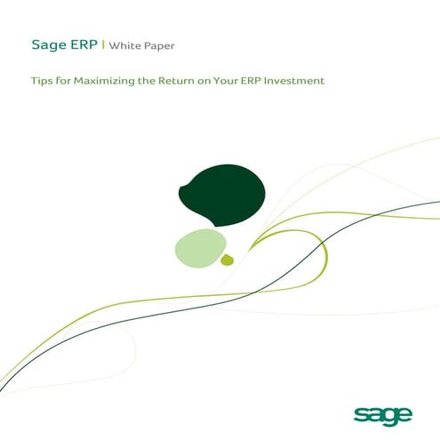Maximizing Return on ERP Investment