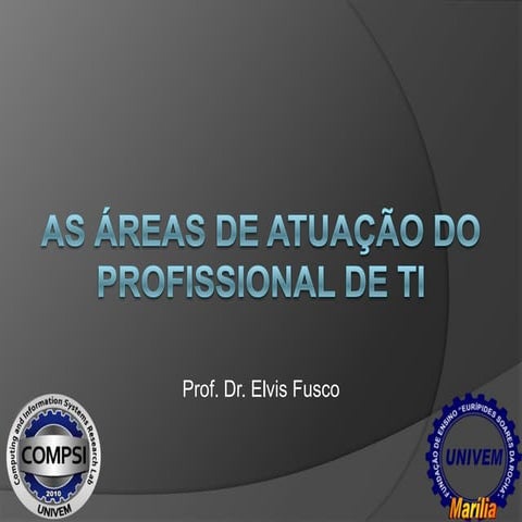 As Áreas de Atuação do Profissional de TI