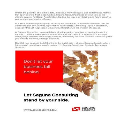 Saguna Consulting    |     IT Consulting