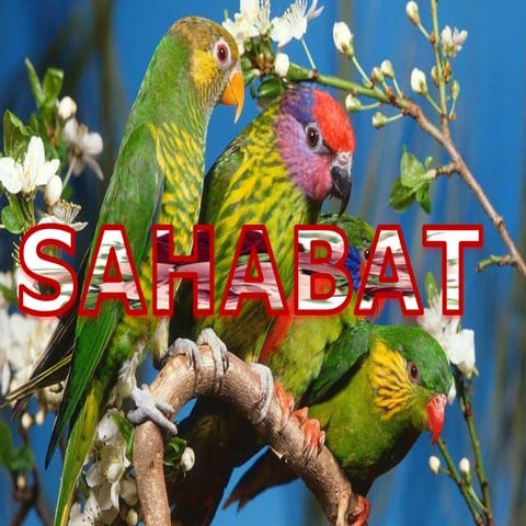 Sahabat | PPTX
