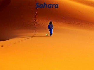 Sahara