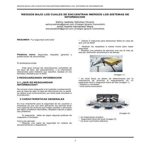 RIESGOS BAJO LOS CUALES SE ENCUENTRAN IMERSOS LOS SISTEMAS DE INFORMACION 
