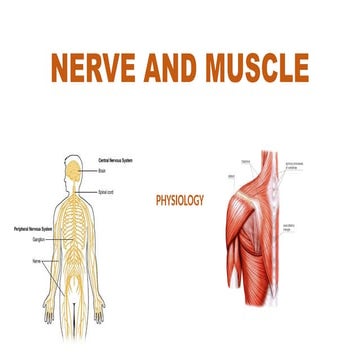 PRESENTATION ON PHYSIOLOGY NERVE AND MUSCLE | PPTX
