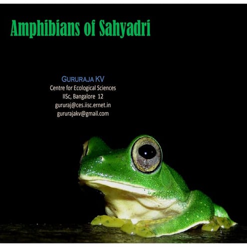 Sahyadri Amphibians Ku 8sep09(1)