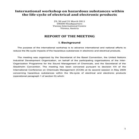 SAICM UN Vienna  workshop final report-25-05-2011 (repaired)