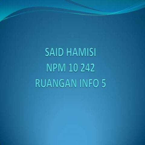 Said hamisi