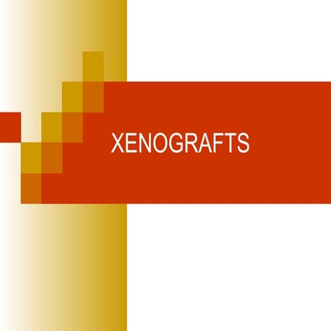 XENOGRAFTS IN DENTISTRY