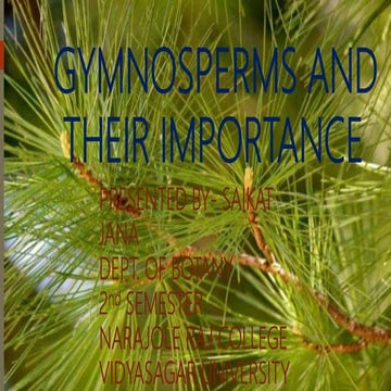 Gymnosperms and their importance