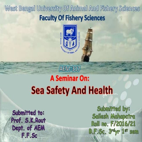 Sea Safety and Health