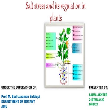Salt stress and its regulation in plants ppt.pptx
