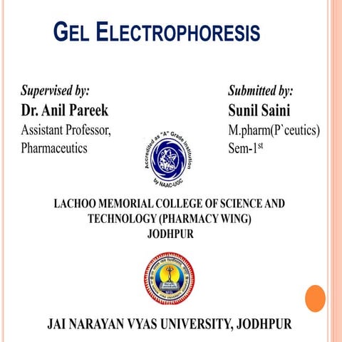 Gel Electrophoresis