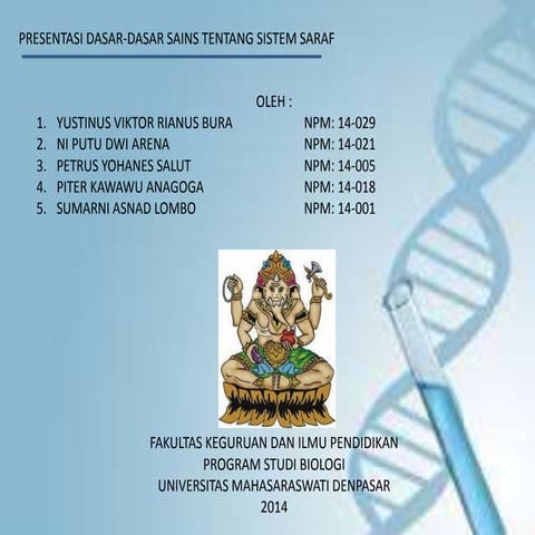 Sistem saraf pada manusia