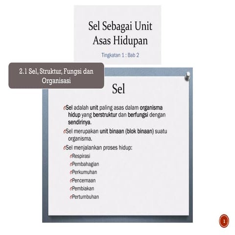 Sel, Struktur, Fungsi dan Organisasi dalam Haiwan dan Tumbuhan Multisel ...