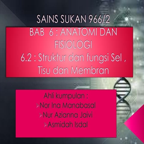 Fungsi sel , tisu dan membran