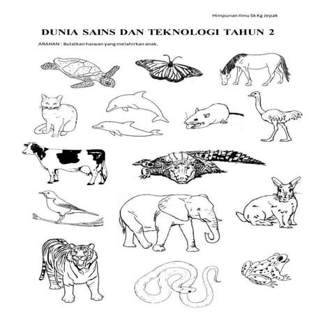 Latihan/kuiz jenis pembiakan haiwan tahun2