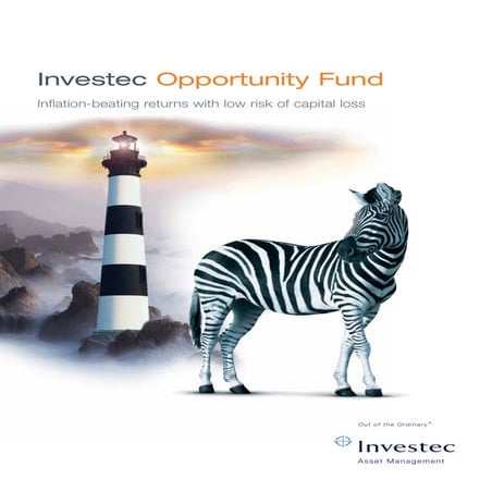 Sa investec opportunity_fund_brochure