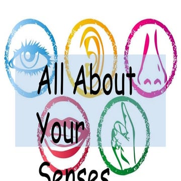 All About Your Senses