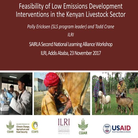 Feasibility of low emissions development interventions in the Kenyan livestoc...
