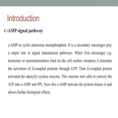 Molecullar Biology_cAMP_presentation.pptx