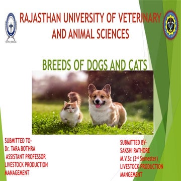 sakshi rathore breeds of dogs and cats.pptx