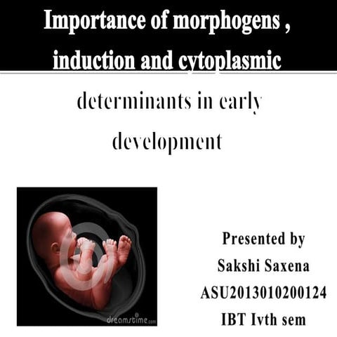 Morphogens, induction and cytoplasmic determinants