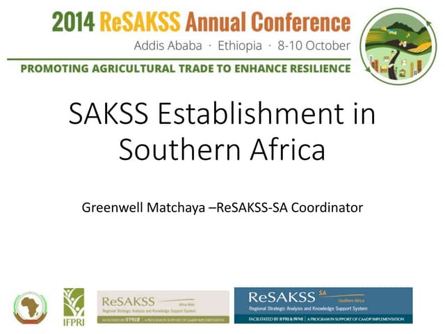 The Establishment of Country SAKSS Platforms in Southern Africa