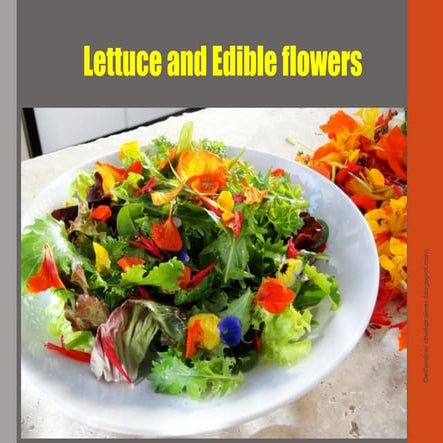 Letuce and Edible Flower: www.chefqtrainer.blogspot.com