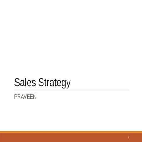 Sales/Marketing Strategy for the Startups 