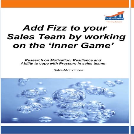 Sales motivations research - executive summary -  