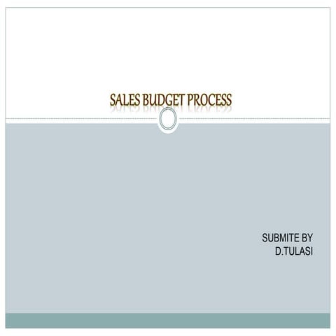 Sales budget process