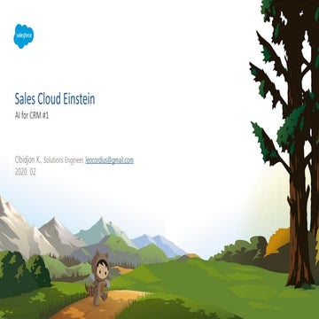 Sales Cloud Einstein
