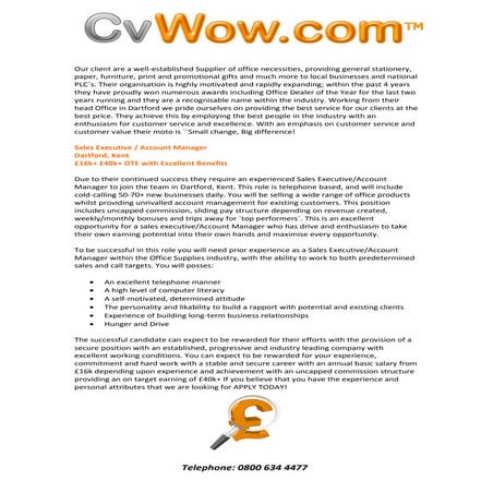 Sales Executive / Account Manager