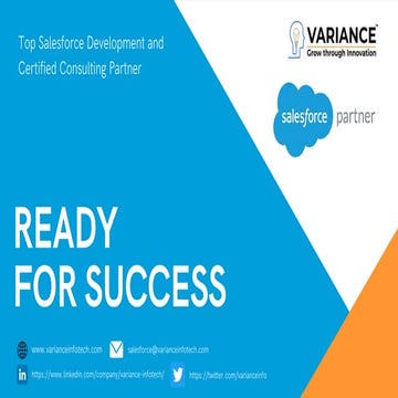 SalesForce Consulting Service Profile