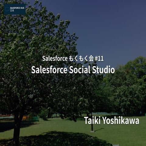 Salesforce Social Studio