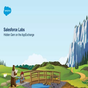 Salesforce Labs - Hidden Gems on the AppExchange