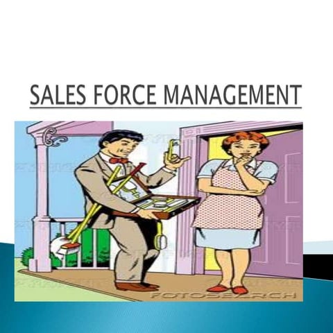 Sales force management (1)