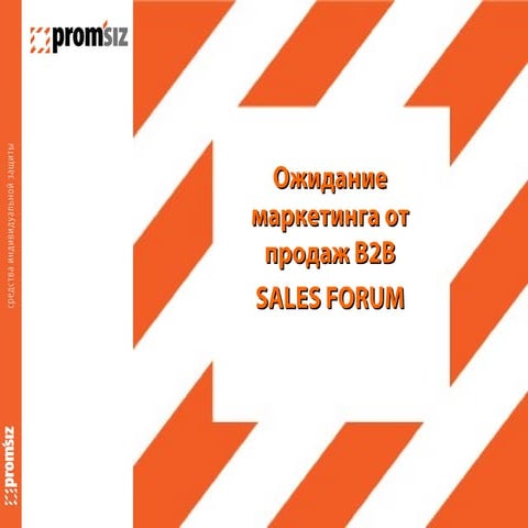Salesforum 2013