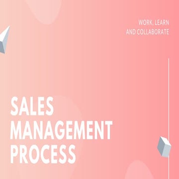 Sales Management Process
