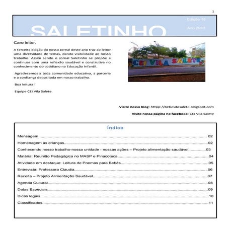 Saletinho 2013    