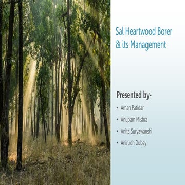 Sal Heartwood Borer and its management in the forest stand | PPTX