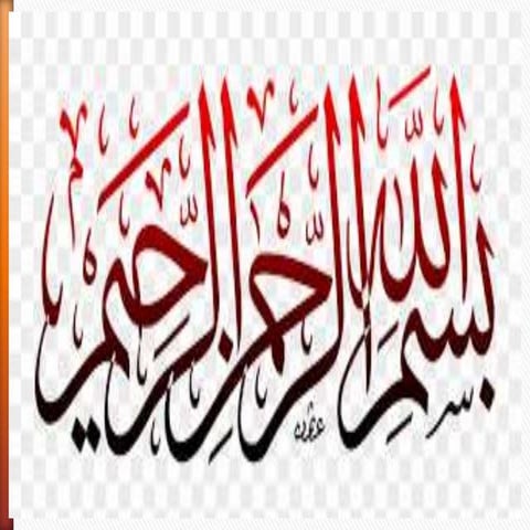 Salient feature of the constitution of 1973