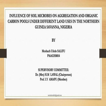 SALIFU UFEDO MESHACH INTERNAL PRESENTATION.pptx